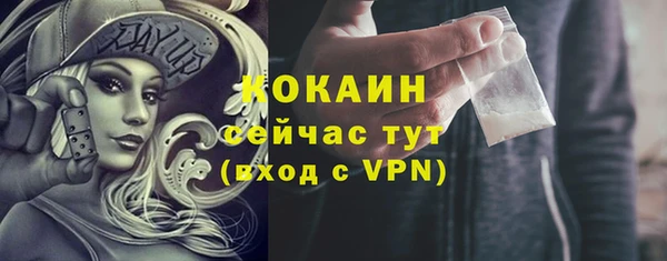 гидра Ельня