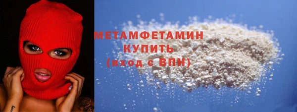 гидра Ельня