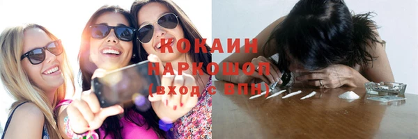гидра Ельня