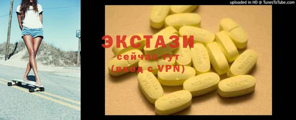 гидра Ельня