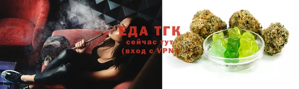 гидра Ельня