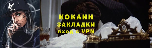 молекула духа Елизово