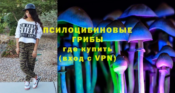 молекула духа Елизово