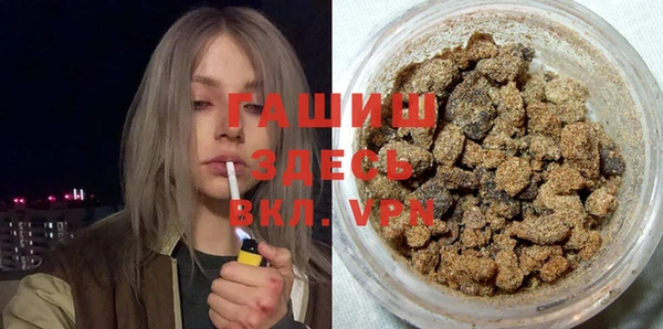 гидра Ельня