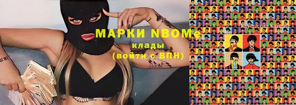 молекула духа Елизово