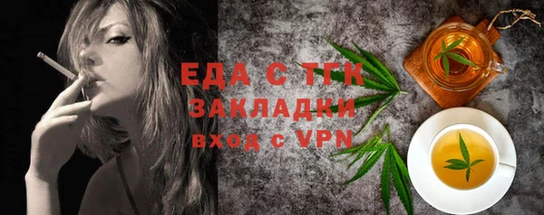 гидра Ельня