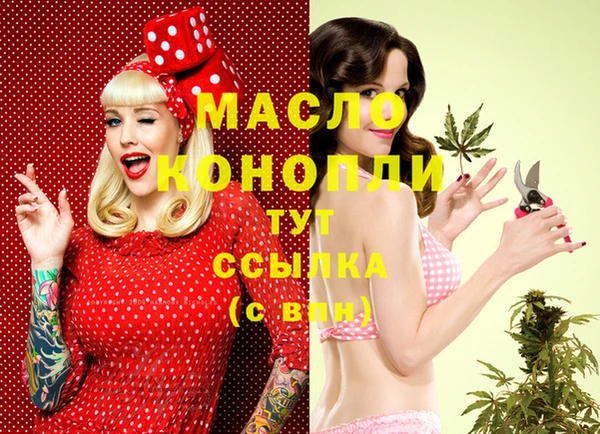 гидра Ельня