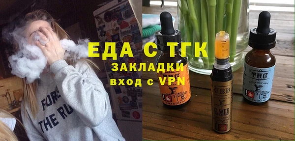 гидра Ельня