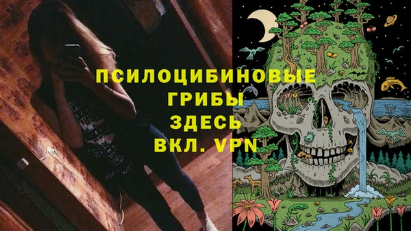 молекула духа Елизово