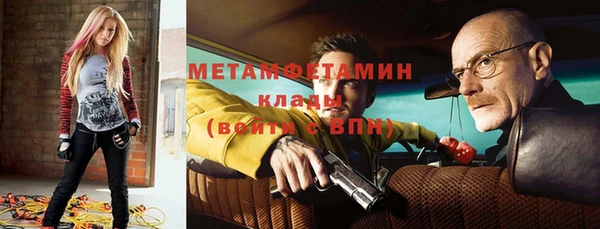 гидра Ельня