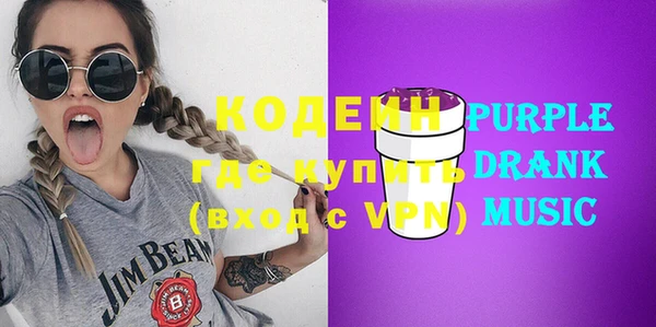 гидра Ельня