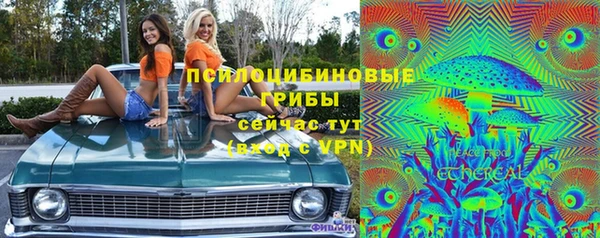 молекула духа Елизово