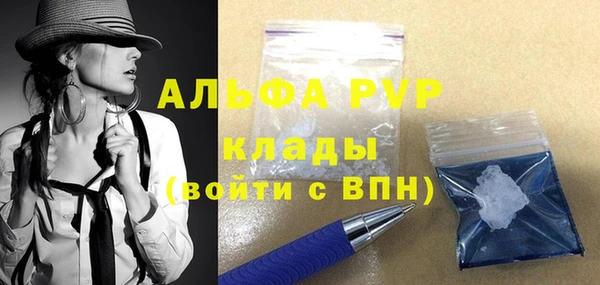 гидра Ельня