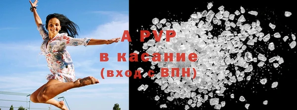 молекула духа Елизово
