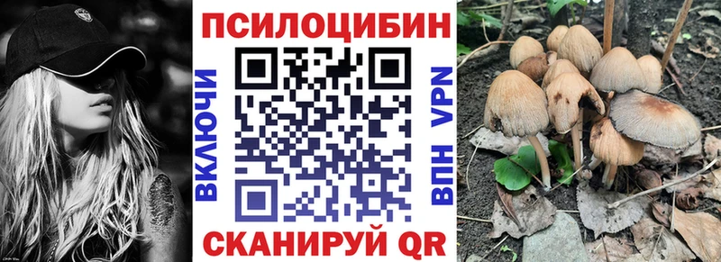 Галлюциногенные грибы Psilocybine cubensis  Купить где  Ефремов 